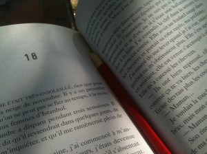 Sonia Ristic, Orages, 2008 Sonia Ristic, Orages, 2008