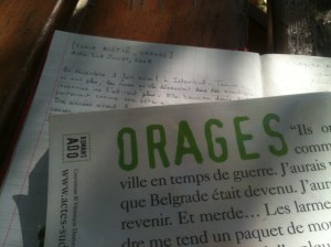 Sonia Ristic, Orages, 2008 Sonia Ristic, Orages, 2008