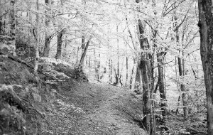 © Colette Mazabrard