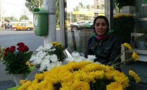 Strada Zambila, marchande de fleurs à Bucarest