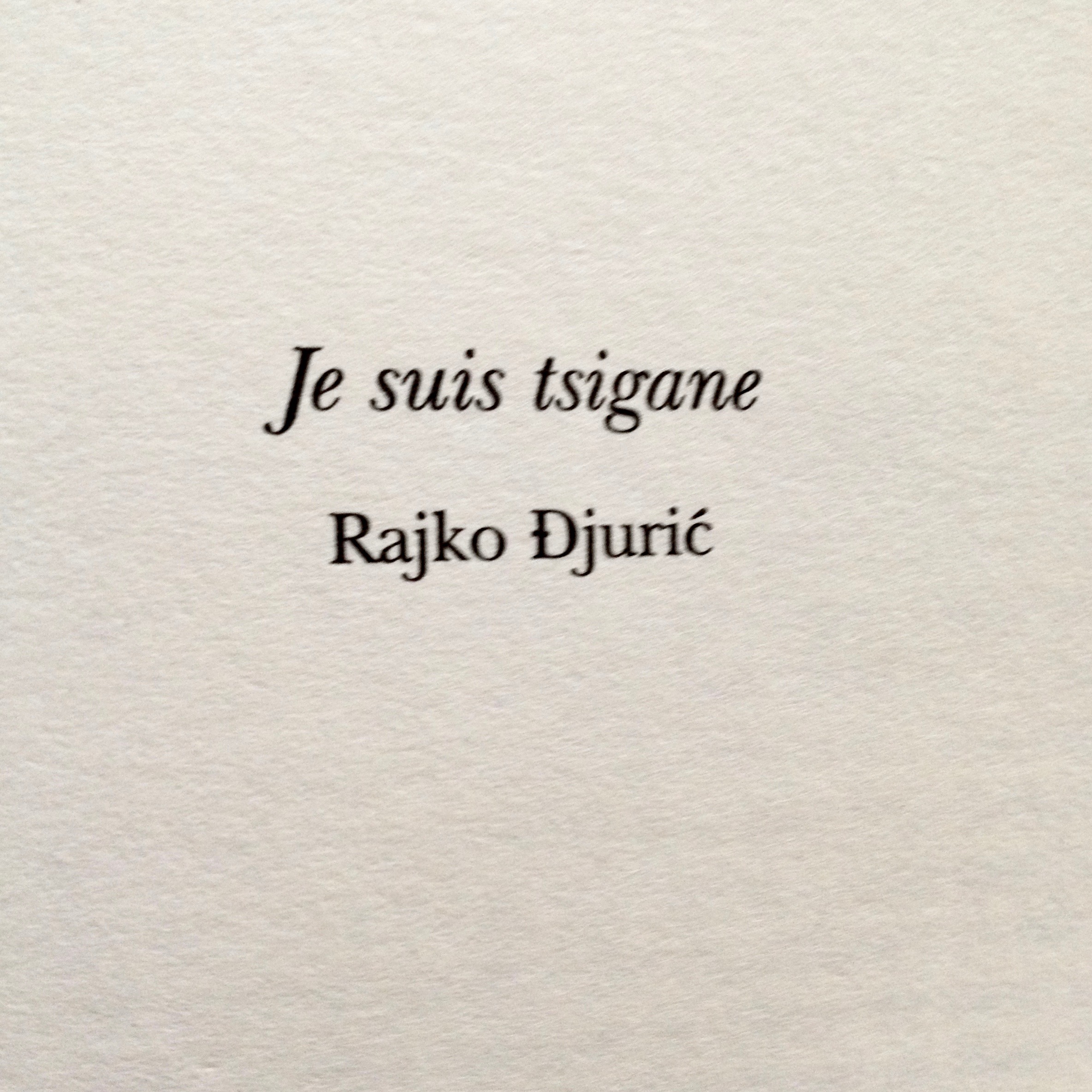 Je suis tsigane, Rajko Djuric