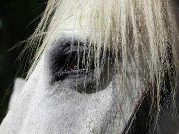 22540140_1624703414217889_7927688198545058863_n