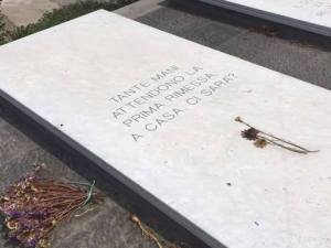 23131682_1640521512636079_5032802694037227420_n