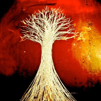 L'arbre blanc entre les mains de Nathan, Lyon, février 2019. © Atelier de l'Arbre bleu.