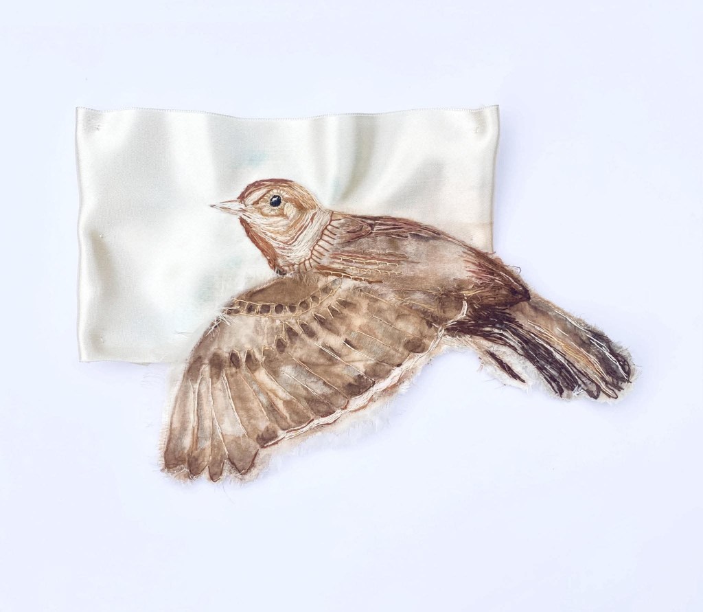 Élise Bergamini, Alouette piquée, broderie sur satin et aquarelle, 2026.